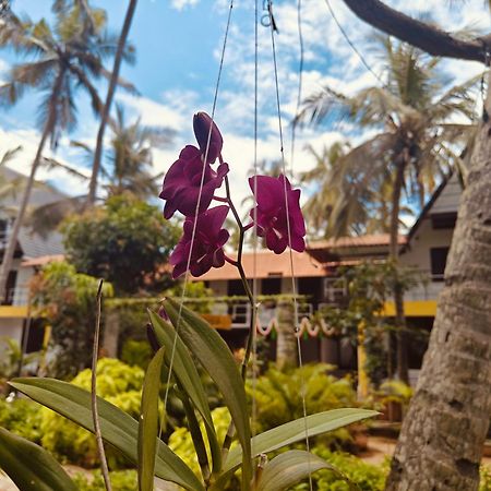 Pv Cottages - Serenity Beach ポンディシェリ エクステリア 写真